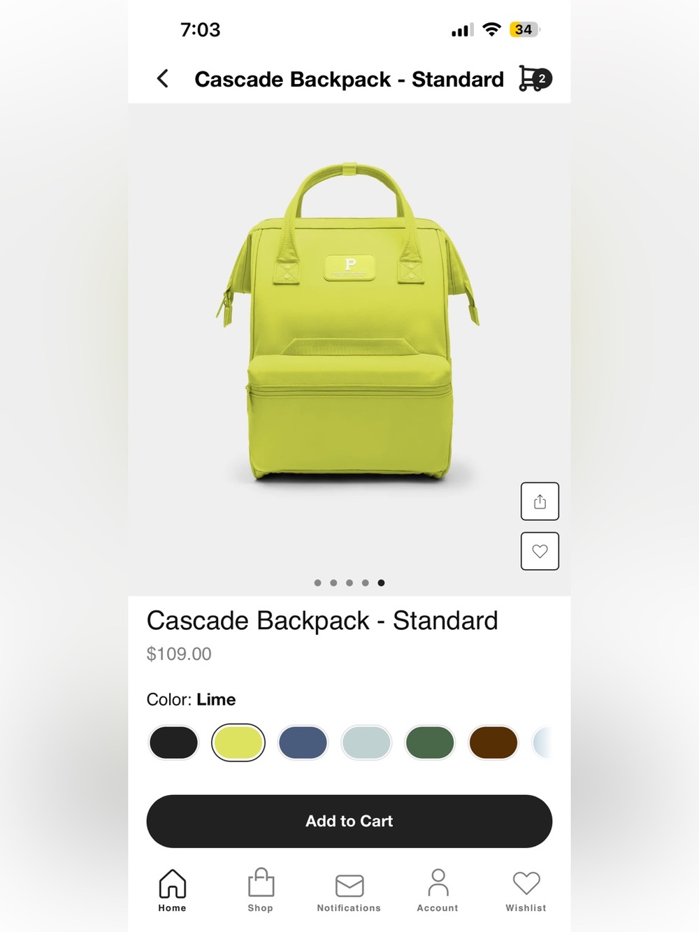 Portland Gear lime color cascade packbag Standard - Picture 7 of 8